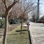 بوستان پرستو