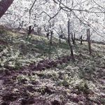 دره ناصرآباد