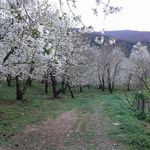 دره ناصرآباد