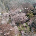 دره ناصرآباد