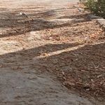 ایستگاه اتوبوس خیابان شهید رضایی