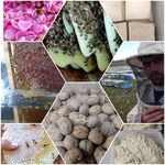 تولیدی لبنیات و خشکبار واحدی