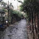 رستوران جربزه