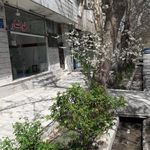 نانوایی محمدی پور