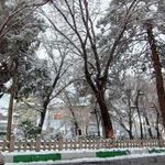 بوستان سعیدی