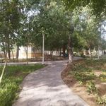 بوستان سعیدی