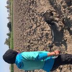 مربی سگ | باشگاه تربیت سگ سما | سمانه سرابندی