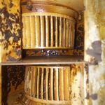 آروین علی بیگی