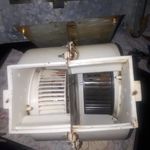 آروین علی بیگی