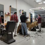 سلمونی کیا