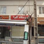 فروشگاه گلپا 