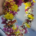 گلفروشی سی تو (ارسال رایگان)