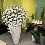 گلفروشی بلومی جهانشهر