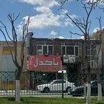 پاکدل