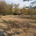 بوستان حضرت زهرا