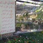 گلستان فرزین