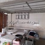 محمد پاشائی