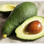 گلخانه و نهالستان فروزانی