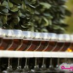 ظروف کرایه پایتخت و تشریفات مجالس