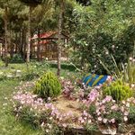 سرویس بهداشتی