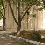 سرویس بهداشتی