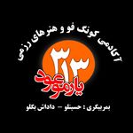 باشگاه هنرهای رزمی توآ (آکادمی کونگ فو ۳۱۳)