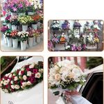 گل فروشی لوتوس