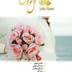 گل فروشی لوتوس