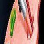 کارگاه خلاقیت پالت