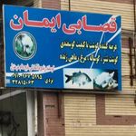 قصابی ایمان