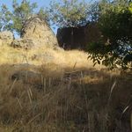 بوستان صحرا