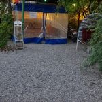 جگرسرای ملک ری(باغچه)