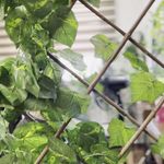 مرکز تخصصی کراتینه و احیا مو سوگل خادم