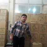 پخش عمده تخم مرغ مجید