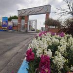 شهرداری منطقه ۹ تبریز