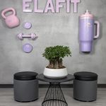 باشگاه الافیت