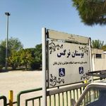 بوستان نرگس
