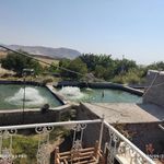 پرورش ماهی صابری