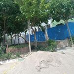 سرویس بهداشتی