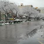 ایستگاه اتوبوس شهید شیرودی 4