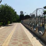 بوستان نرگس