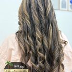 خدمات تخصصی مو گیلاوا