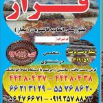 قالیشویی فراز