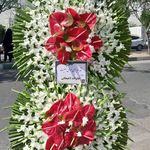 گل فروشی دنیز آنلاین (شعبه 2)