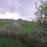 روستای گورانسراب