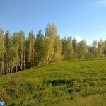 روستای گورانسراب