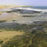 سواحل چابهار