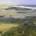 سواحل چابهار