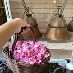 گلابگیری عرقیجات عطاری سلیمان (قمصر)