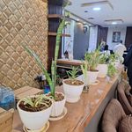 هتل آپارتمان نقش جهان